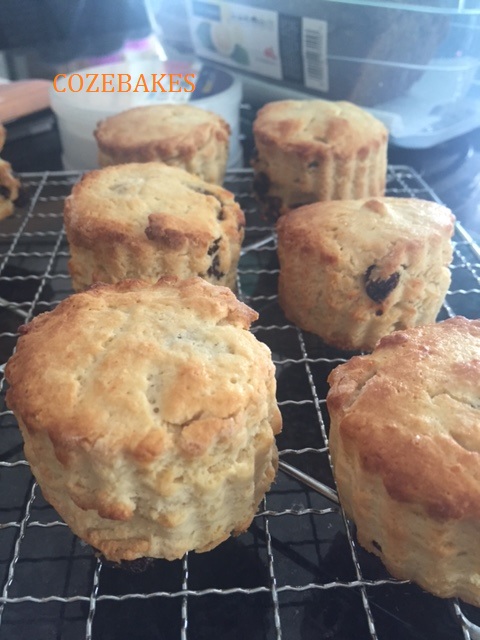 gluten free scones, coeliac friendly scones, gluten free fruit scones, wheat free scones, cozebakes, almond flour scones